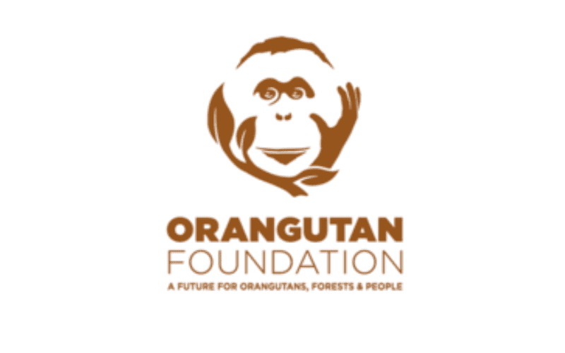 lowongan-kerja-orangutan-foundatio.png