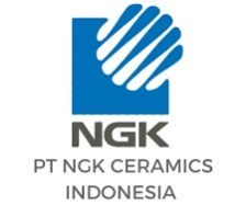 ngkceramics.jpeg